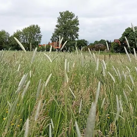 Ferienhaus Landschaft *