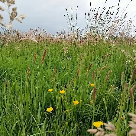 Ferienhaus Landschaft
